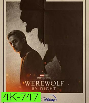 4K - Werewolf by Night (2022) แวร์วูล์ฟ บาย ไนท์ - แผ่นหนัง 4K UHD