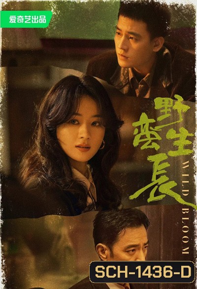 ยอดหญิงแกร่ง Wild Bloom (2022) 36 ตอนจบ