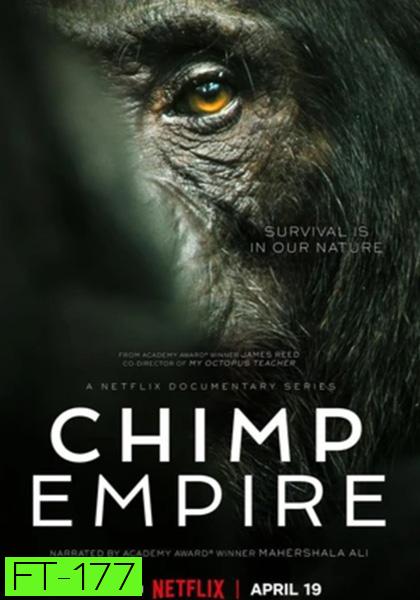 อาณาจักรซิมแปนซี (2023) Chimp Empire