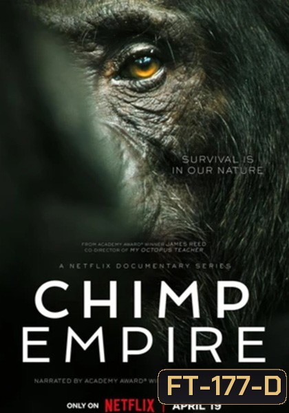 อาณาจักรซิมแปนซี (2023) Chimp Empire