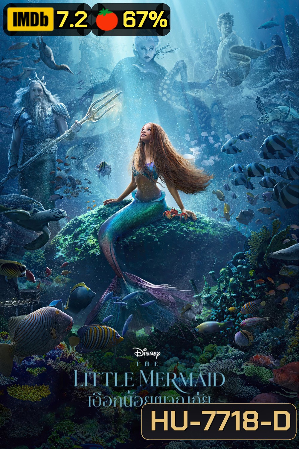(Zoom ซูม) The Little Mermaid (2023) เงือกน้อยผจญภัย (ดูภาพตัวอย่างด้านใน)