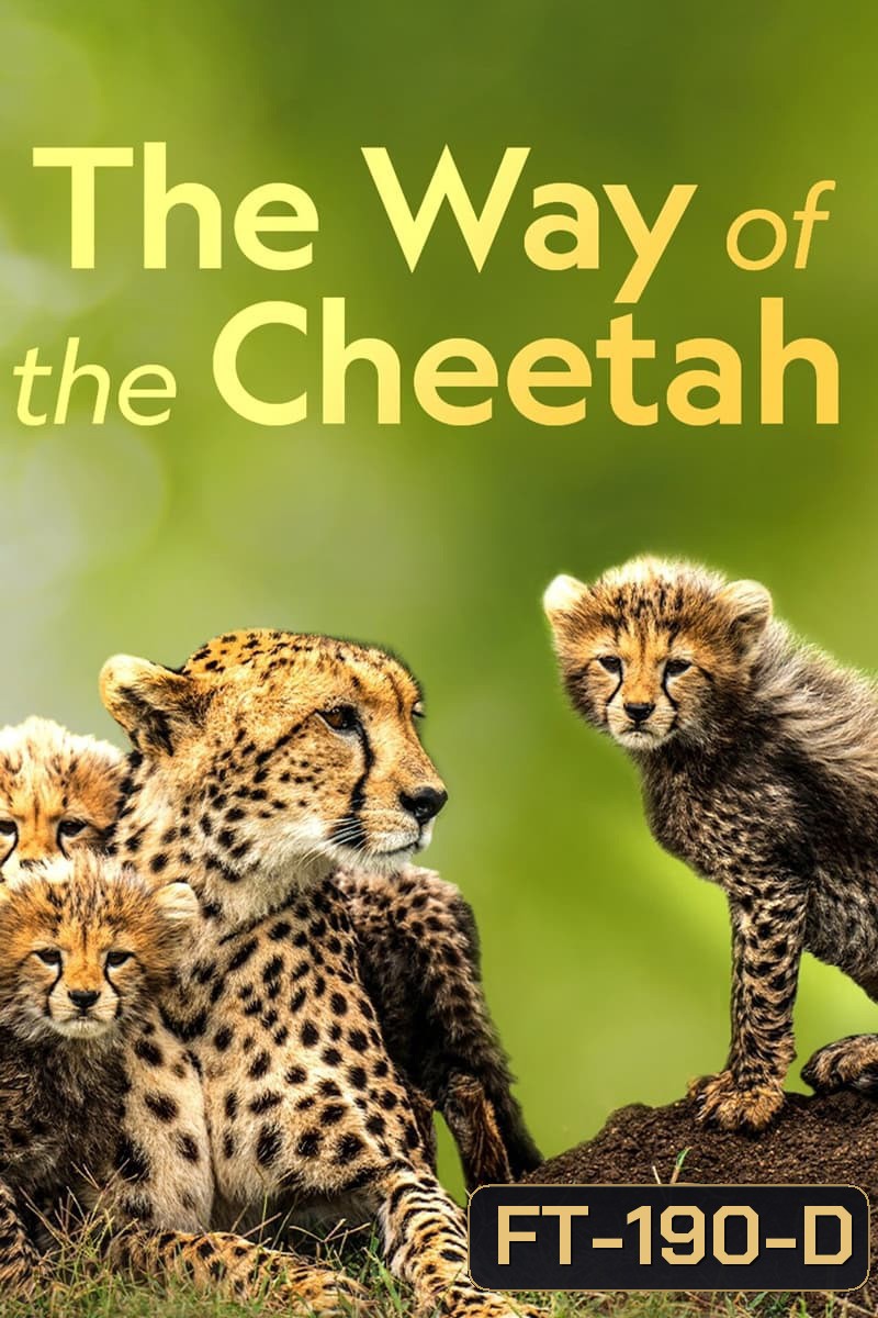 Big Cat Week - The Way of the Cheetah (2022)