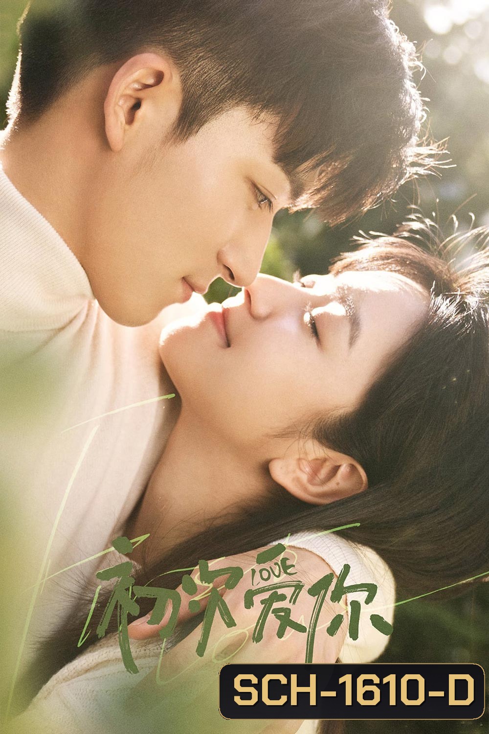 วุ่นนัก โจทย์รักแรก (2022) First Love (24 ตอนจบ)