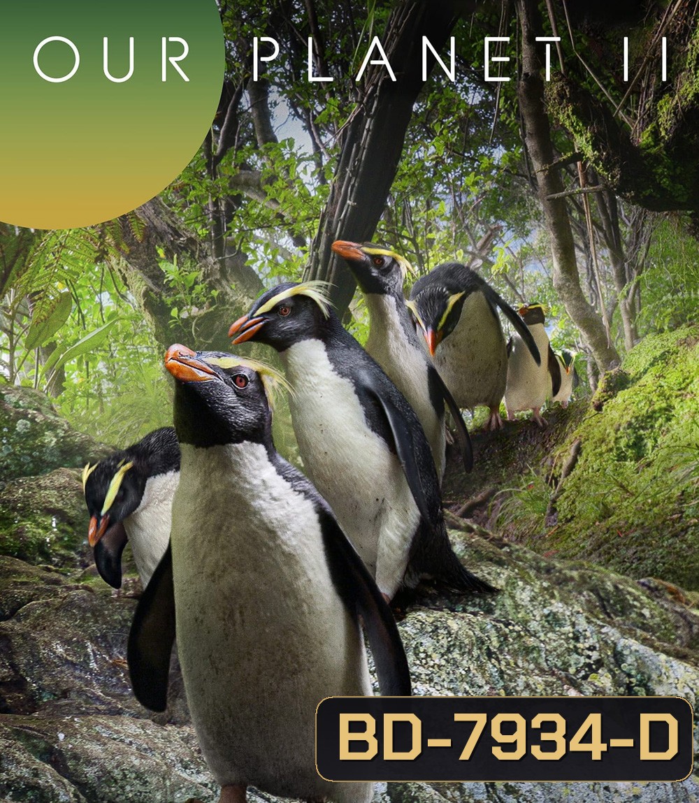 Our Planet (2023) Season 2 (ภาพ HDR)