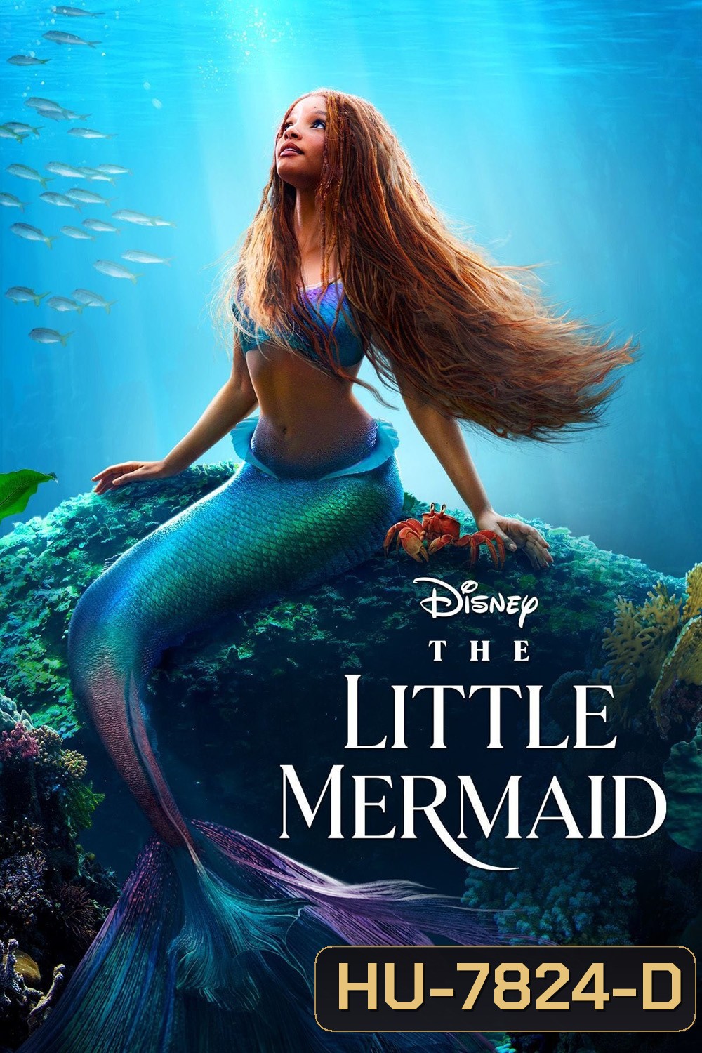 [ชนโรง!..ชัด + V.2 - ดูรูปตัวอย่างด้านล่าง ] The Little Mermaid (2023) เงือกน้อยผจญภัย