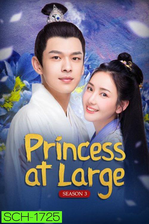 พระชายาลอยนวล ปี 3 (2020) Princess at Large Season 3 (15 ตอนจบ)