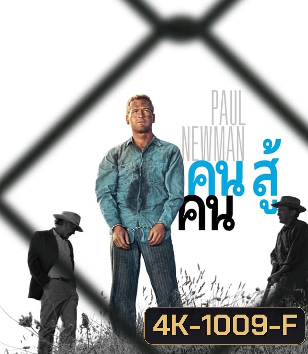 4K - Cool Hand Luke (1967) คนสู้คน - แผ่นหนัง 4K UHD