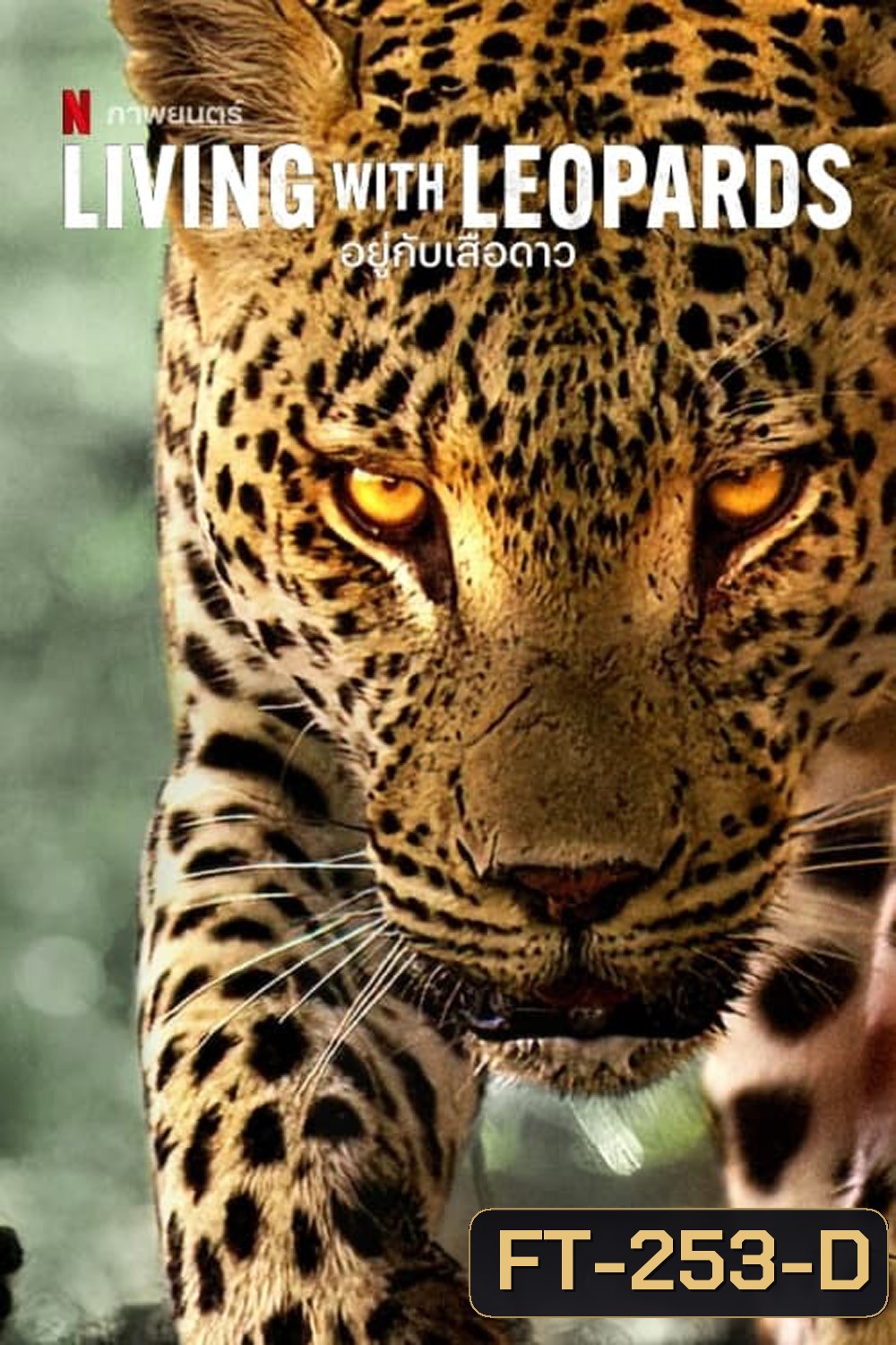 Living with Leopards (2024) อยู่กับเสือดาว