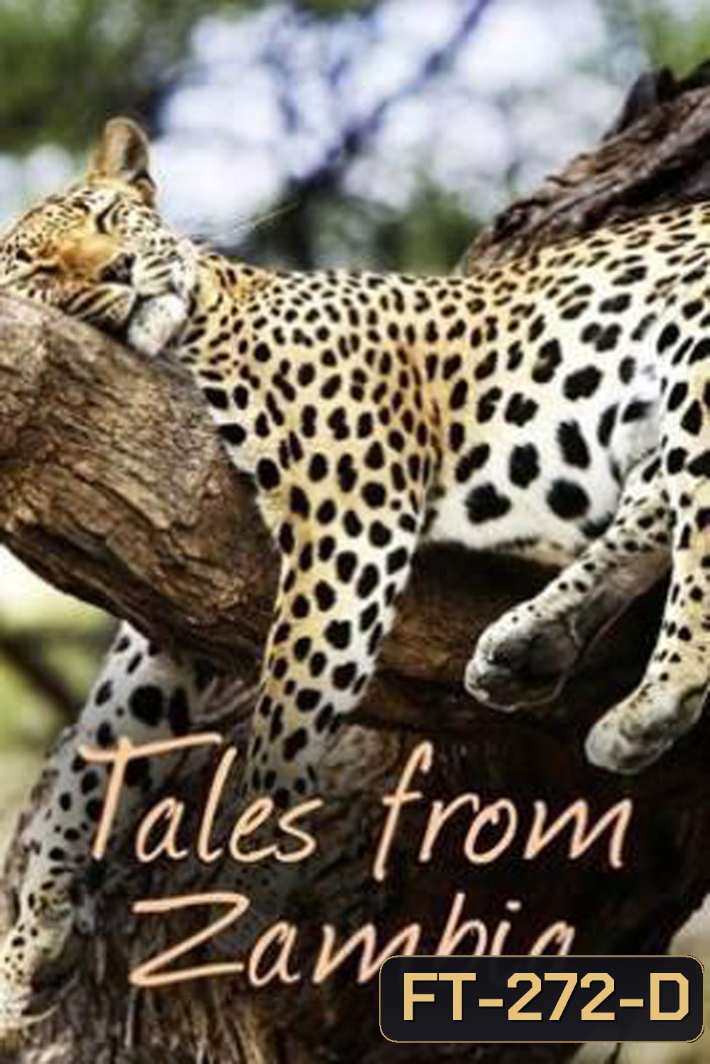 (ตอนที่ 5-7 ไม่มีซับ)Tales From Zambia เทพนิยายจากแซมเบีย (2016) 7 ตอน