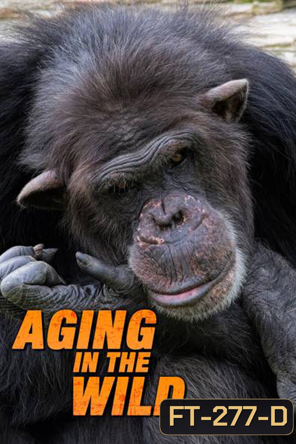 Aging in the Wild (2017) ช่วงชีวิตในป่าใหญ่ (5 ตอน)