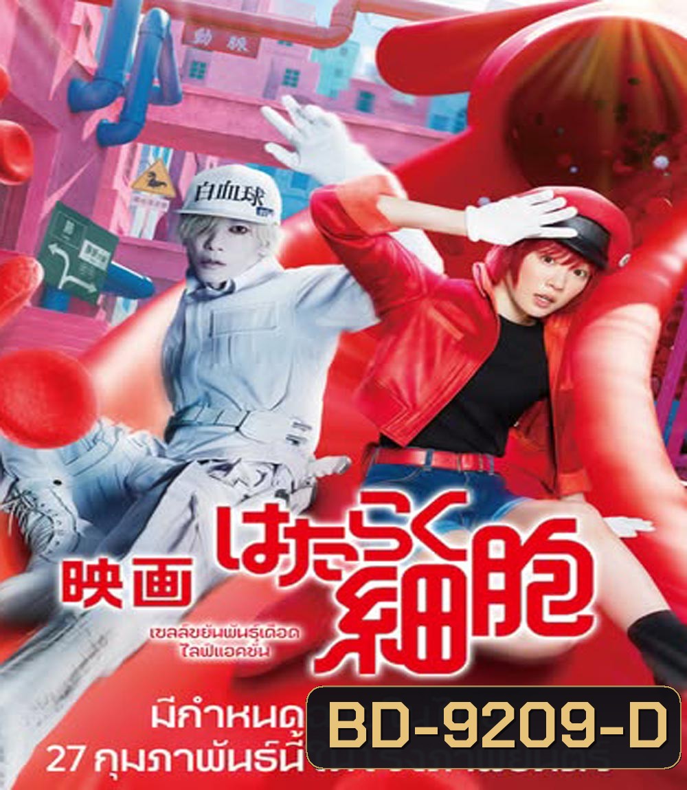 Cells at Work Hataraku Saibou เซลล์ขยันพันธุ์เดือด (2024)