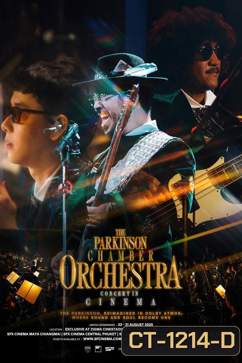 The Parkinson Chamber Orchestra Concert