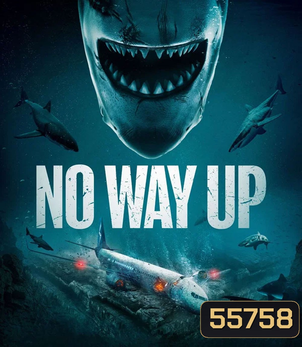 No Way Up (2024) งาบคลั่งไฟลต์