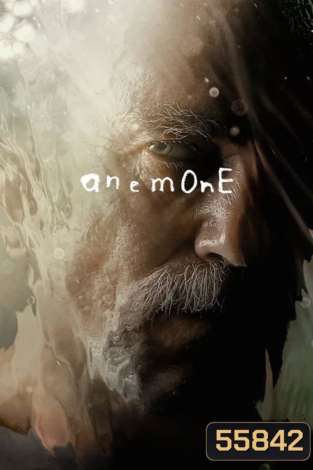 Anemone (2025) อะนีโมนี