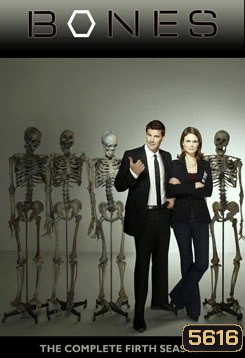 Bones Season 1 พลิกซากปมมรณะ ปี 1